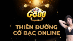 Code GO88