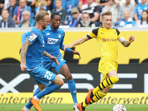 Thành tích thi đấu gần đây của Hoffenheim và Dortmund