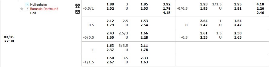 Hoffenheim và Dortmund