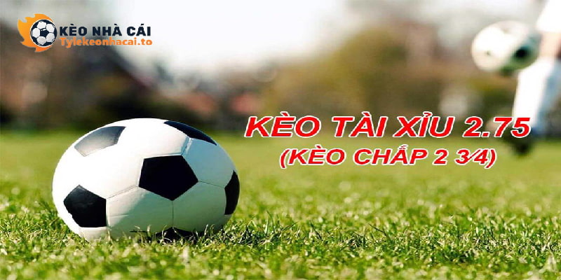 Khái niệm và cách đọc tỷ lệ chấp 2.75 